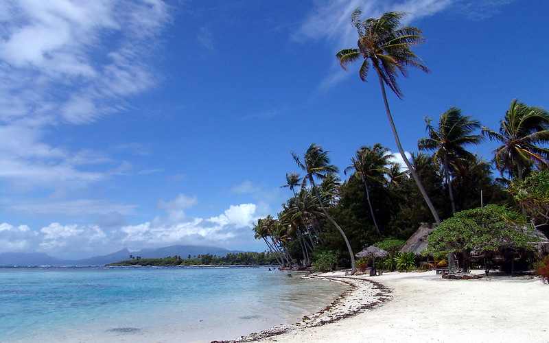 The Legendary Polynesian Voyagers: Navigating the Pacific by Stars