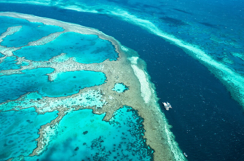 The Great Barrier Reef: A Natural Wonder Under Threat