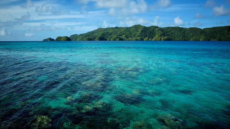 Diving Hotspots in Koror: Exploring Palau’s Underwater World