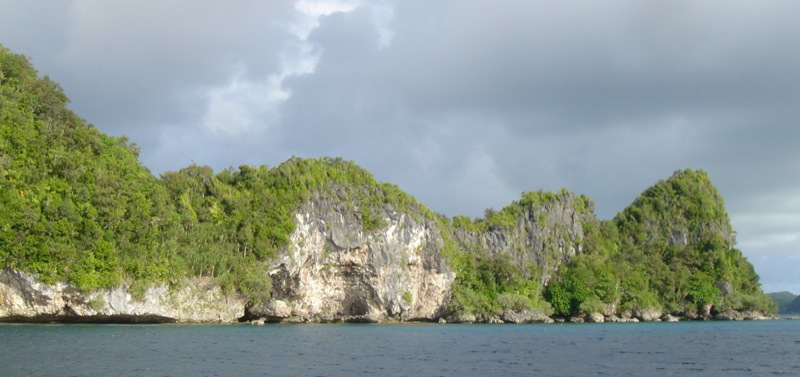 Jellyfish Lake: Palau’s Unique Natural Wonder