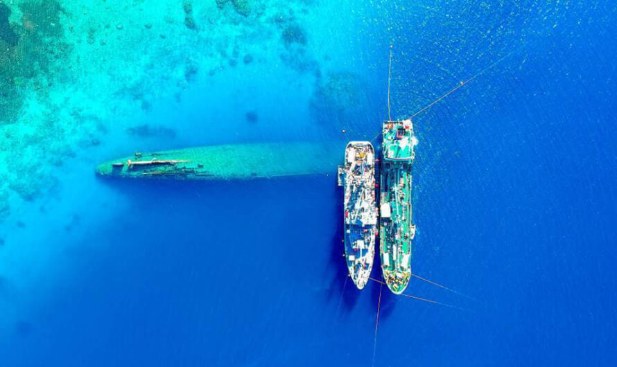 Diving in Kwajalein Atoll: Marine Life Amongst Sunken Ships