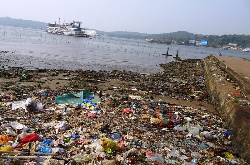 Reducing Plastic Waste: What You Can Do to Help the Pacific