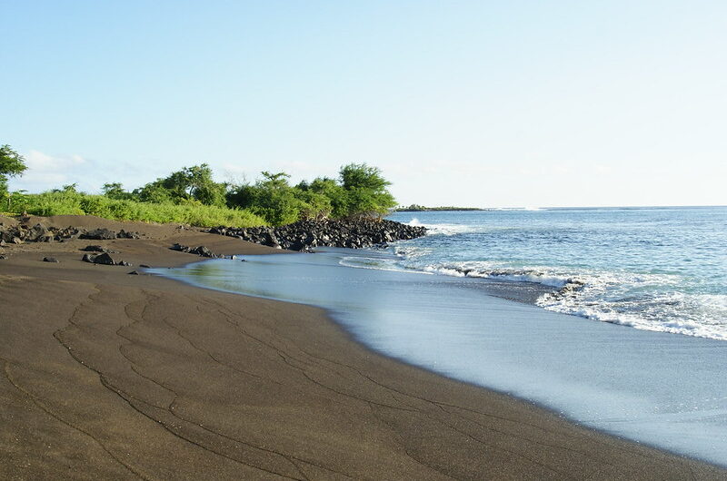 Exploring the Rich Biodiversity of the Galápagos Islands