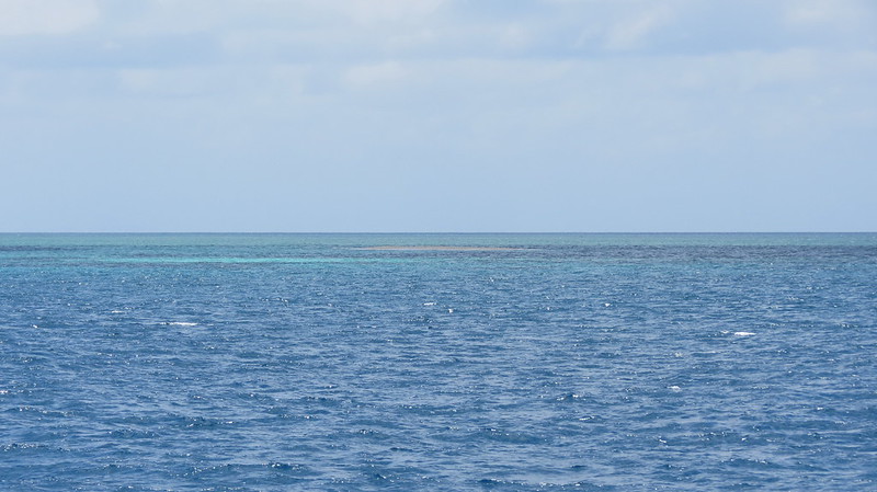 Coral Bleaching in the Great Barrier Reef: Can It Be Saved?