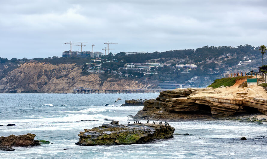 The Role of the California Current in the Pacific Ecosystem