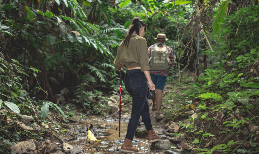 Hiking Adventures: Exploring Hawaii’s Volcanoes and Rainforests