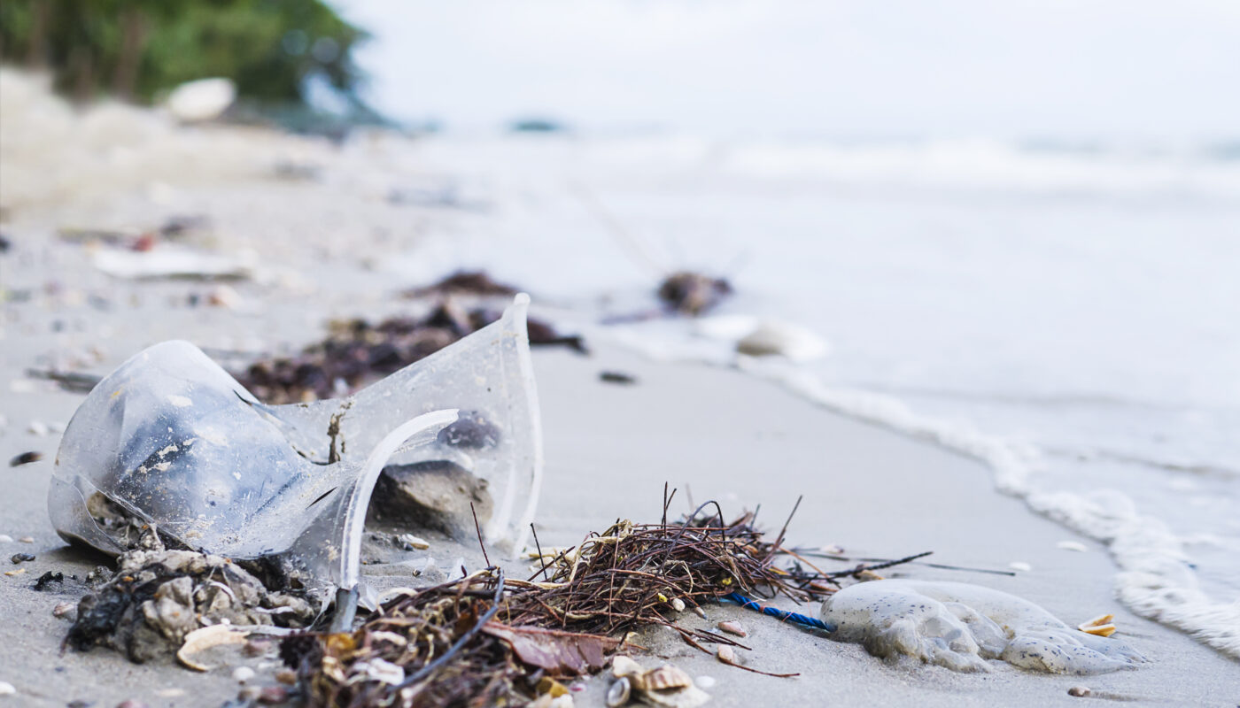 https://www.freepik.com/free-photo/trash-sand-beach-showing-environmental-pollution-problem_3806473.htm#fromView=search&page=1&position=2&uuid=757fccdf-d35a-4339-aafa-84161aee02f4&query=The+Impact+of+Plastic+Pollution+on+Marine+Life+in+the+Pacific