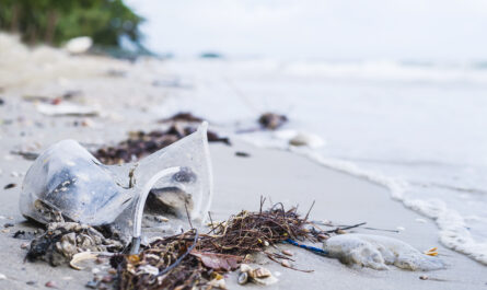 https://www.freepik.com/free-photo/trash-sand-beach-showing-environmental-pollution-problem_3806473.htm#fromView=search&page=1&position=2&uuid=757fccdf-d35a-4339-aafa-84161aee02f4&query=The+Impact+of+Plastic+Pollution+on+Marine+Life+in+the+Pacific