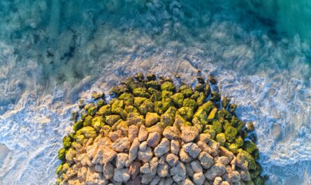 https://www.freepik.com/free-photo/aerial-view-rocks-each-other-surrounded-by-wavy-sea-sunlight-daytime_10612853.htm#fromView=search&page=7&position=20&uuid=43d80bc3-4886-4150-a7ef-64d3cf201fa3&query=Global+Efforts+to+Protect+the+Pacific+Ocean%E2%80%99s+Marine+Biodiversity