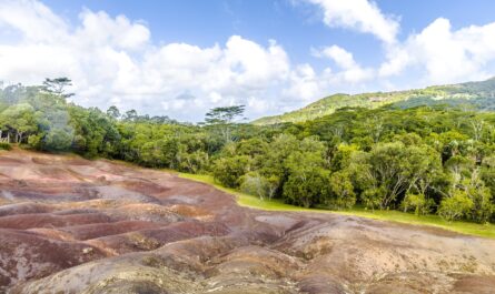 https://www.freepik.com/free-photo/beautiful-scenery-seven-colored-earth-chamarel-mauritius_9184324.htm#fromView=search&page=4&position=1&uuid=04601e26-a9b5-4523-8eb9-2082bd3c61fe&query=The+Unique+Ecosystem+of+Big+Island%3A+From+Deserts+to+Rainforests