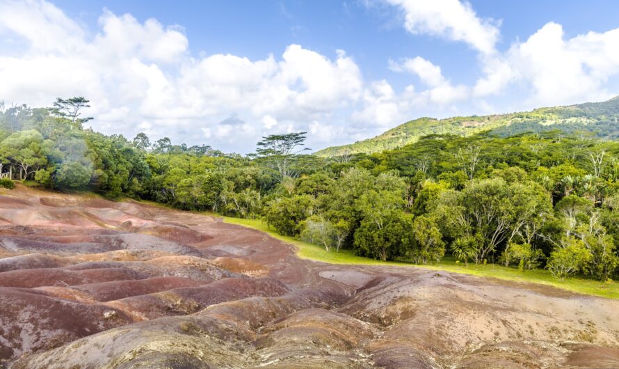 The Unique Ecosystem of Big Island: From Deserts to Rainforests