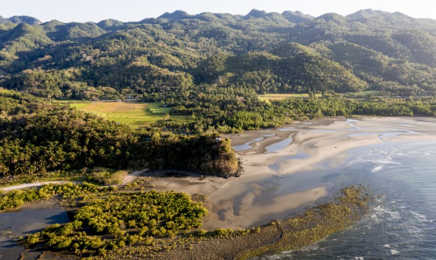 The Great Polynesian Migration: Discovering New Lands Across the Pacific