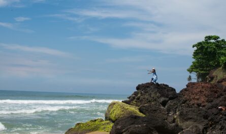 https://www.freepik.com/free-photo/horizontal-shot-female-with-hat-blue-dress-rocky-beach_17248167.htm#fromView=search&page=1&position=29&uuid=3997e954-ba15-4a75-b569-ddee68dc810f&query=Eco-Friendly+Tourism+in+the+Rock+Islands%3A+Protecting+Paradise