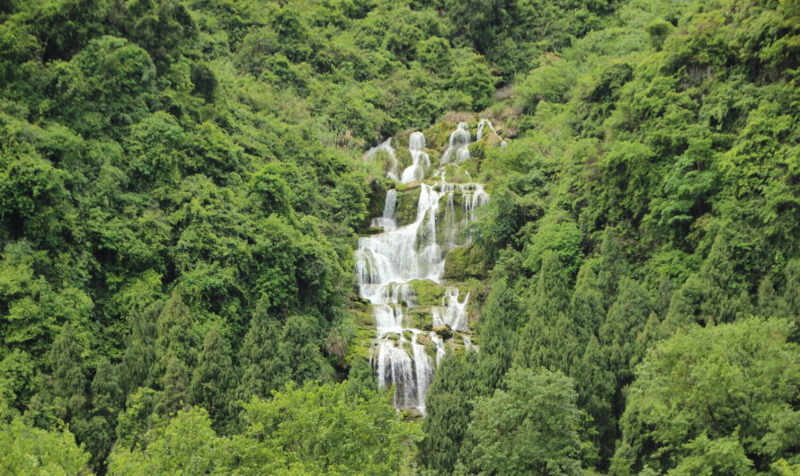 Discovering the Natural Wonders of Tahiti’s Lush Landscapes