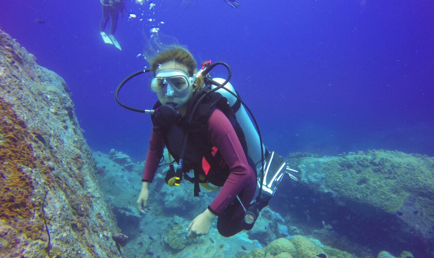 Marine Life in Tutuila’s Coastal Waters: A Diver’s Guide