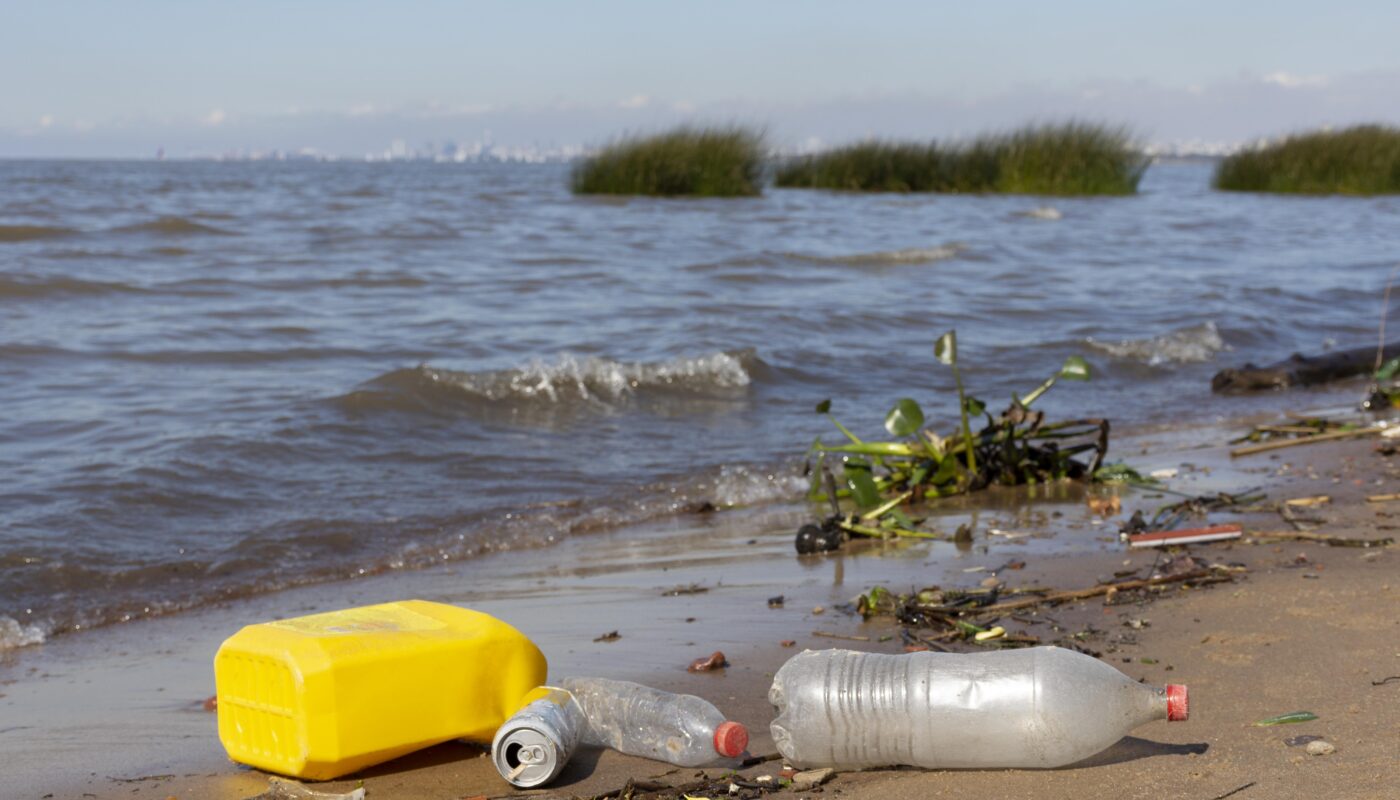 https://www.freepik.com/free-photo/pollution-concept-with-plastic-waste_18269484.htm#fromView=search&page=5&position=38&uuid=2855e482-1cf8-49c1-828a-0e6289fed92c&query=++Slow+Down+Ocean+Acidification%3F